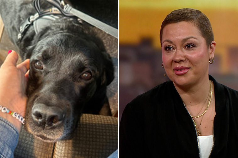 Hunden räddade livet på Ursula – upptäckte sällsynt bröstcancer i tid