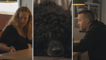 Hunden Ture väcker starka reaktioner i ”Gift vid första ögonkastet”