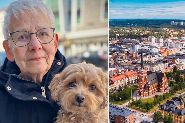 Ännu en hundattack i centrala Luleå – flera incidenter kopplas nu samman