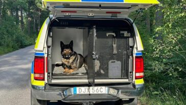 Polisens hundbilar byggs om – efter omfattande kritik från hundförare