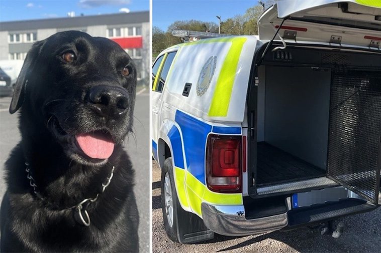Flera poliser vägrar använda nya hundförarbilen:  "Samlade damm"