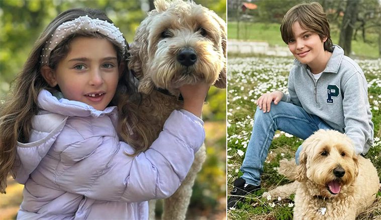 Mystiken kring prinsessan Madeleines hund – varför syns inte Oreo längre?
