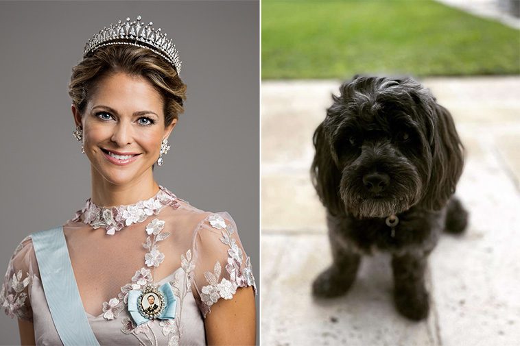 Mystiken kring prinsessan Madeleines hund – varför syns inte Oreo längre?