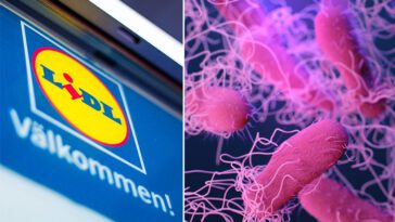Salmonellalarm i hundgodis – Lidl stoppar försäljning av kycklinghals