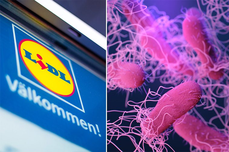 Salmonellalarm i hundgodis – Lidl stoppar försäljning av kycklinghals