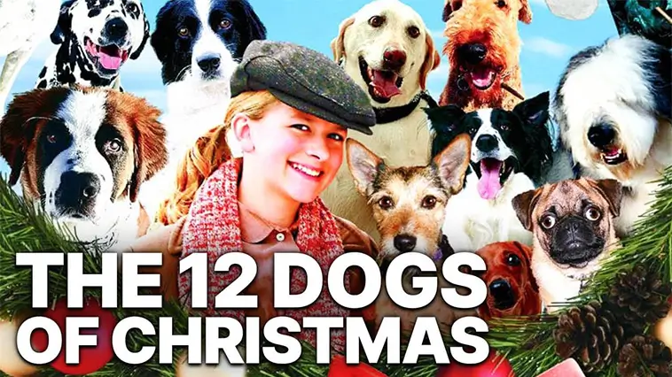 De 29 bästa hundfilmerna genom tiderna – med trailers: Julens 12 hundar