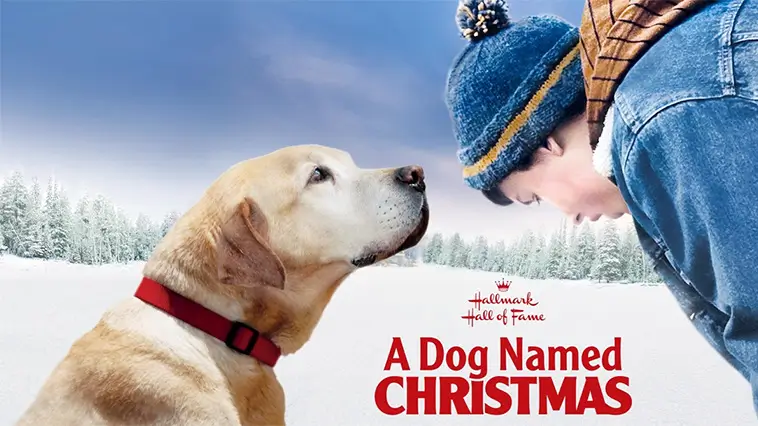 De 29 bästa hundfilmerna genom tiderna – med trailers: A Dog Named Christmas