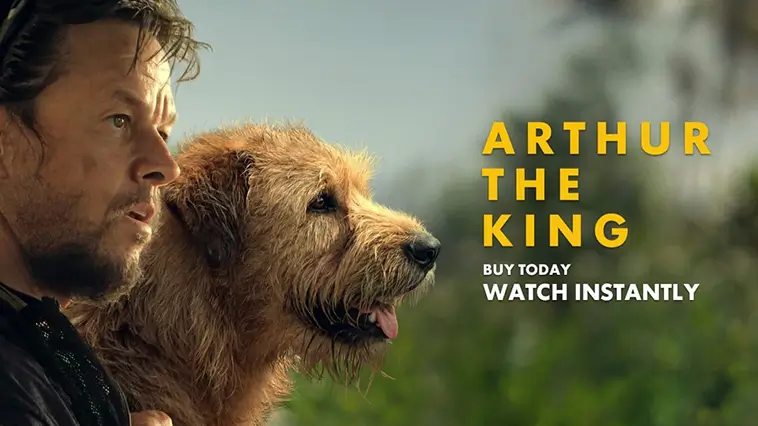 De 29 bästa hundfilmerna genom tiderna – med trailers: Arthur the King