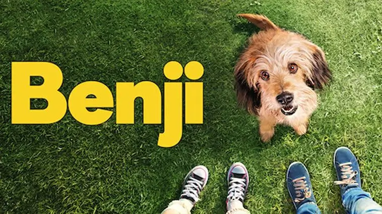 De 29 bästa hundfilmerna genom tiderna – med trailers: Benji