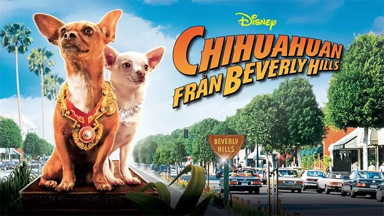 De 29 bästa hundfilmerna genom tiderna – med trailers: Chihuahuan från Beverly Hills