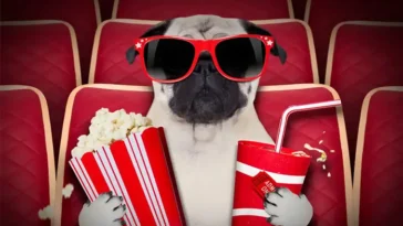 De 29 bästa hundfilmerna genom tiderna – med trailers