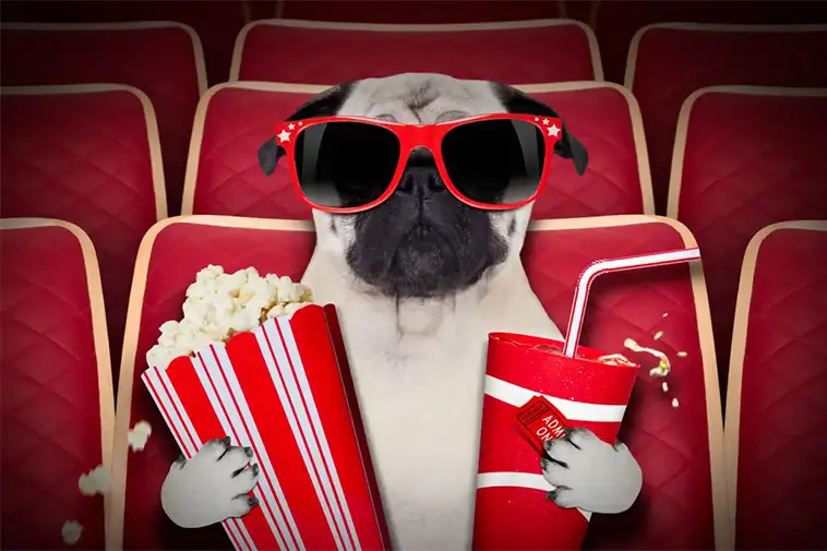Prime Video inför reklam – betala extra för en annonsfri upplevelse