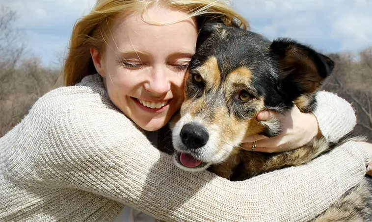 Fler vill adoptera hund – men få gör det i verkligheten