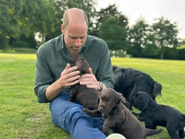 Prime Video inför reklam – betala extra för en annonsfri upplevelse