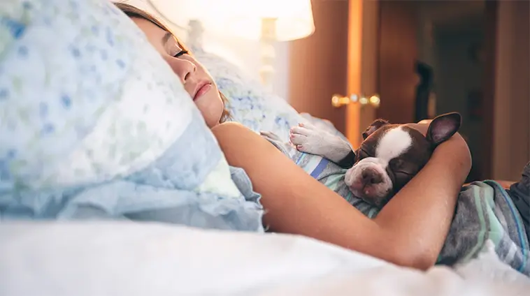 Därför vill din hund sova i din säng – och det handlar inte om bekvämlighet