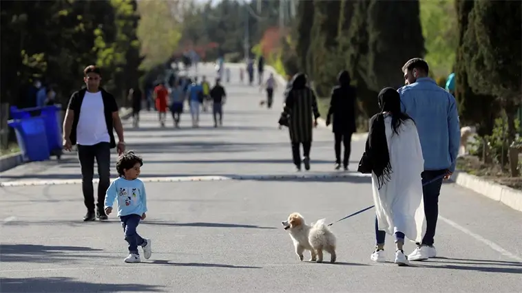 Hårdare tag mot hundägare i Iran – nya förbud i flera städer