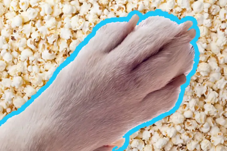 Prime Video inför reklam – betala extra för en annonsfri upplevelse