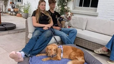 Dramatiskt hundäventyr i England – Amber simmade till en ö efter att ha rymt