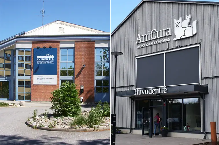 Kritikstorm mot Evidensia och Anicura: "Sätter pengar före djurens liv"