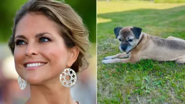 Efter lång tid i skymundan – nu får vi återse den kungliga hunden Siri