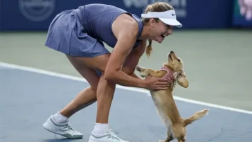 Hund stal showen när Kalinskaya firade seger – lilla Bella charmade hela tennisvärlden