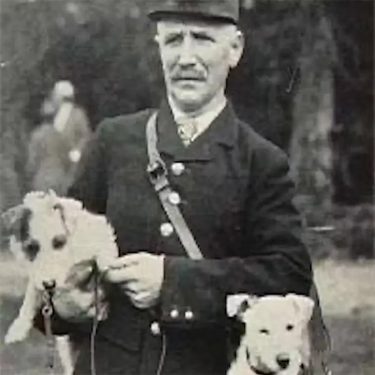 "Som att leva med en duracellkanin" – livet med en Jack Russell