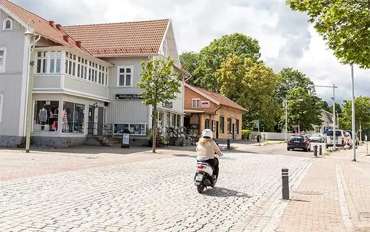 Torsås i täten – här bor Smålands största hundvänner