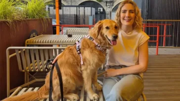 Ny hundfestival tar Glasgow med storm – här är festen där hundarna står i centrum