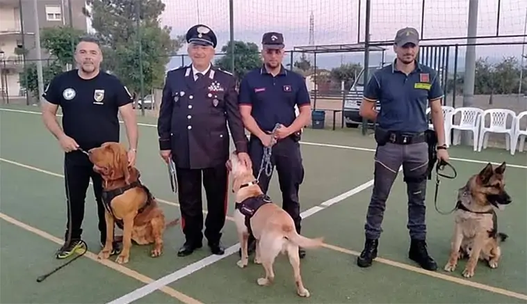 Hjältens tragiska slut – Italiens älskade sökhund förgiftad med spikfyllda korvar