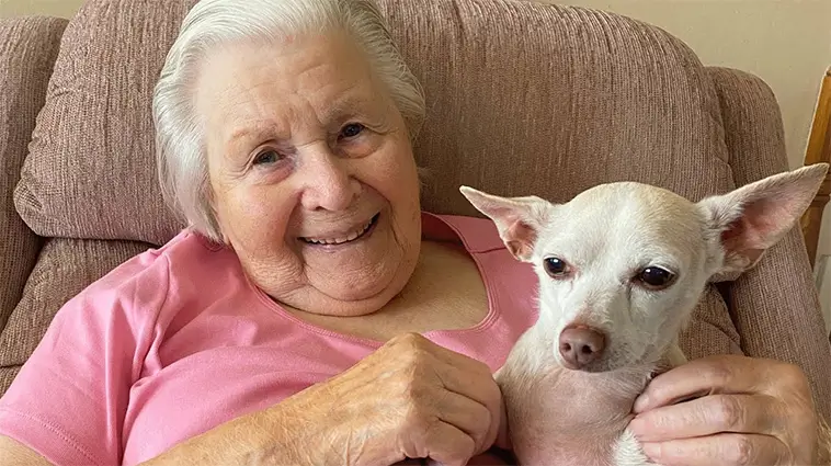 Hund eller katt kan hjälpa hjärnan att åldras långsammare