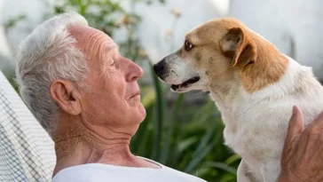 Hund eller katt kan hjälpa hjärnan att åldras långsammare