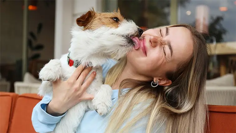 Slickar din hund dig i ansiktet? Det här bör du känna till