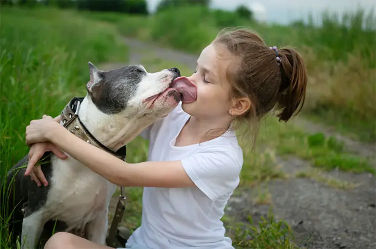 Slickar din hund dig i ansiktet? Det här bör du känna till