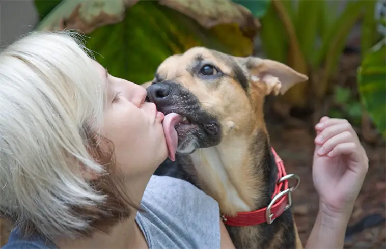 Slickar din hund dig i ansiktet? Det här bör du känna till