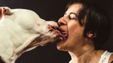 Slickar din hund dig i ansiktet? Det här bör du känna till
