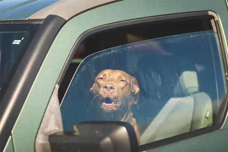 Prime Video inför reklam – betala extra för en annonsfri upplevelse