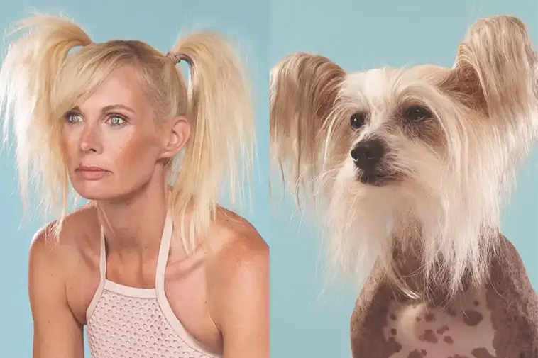 Prime Video inför reklam – betala extra för en annonsfri upplevelse