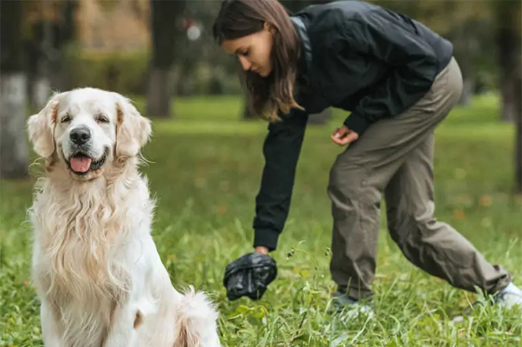Forskare i Storbritannien ska börja samla in hund- och kattbajs – men det är av god anledning