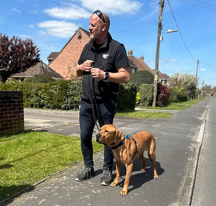 Expertens råd: Tre saker alla hundägare bör ha för att lyckas med träningen