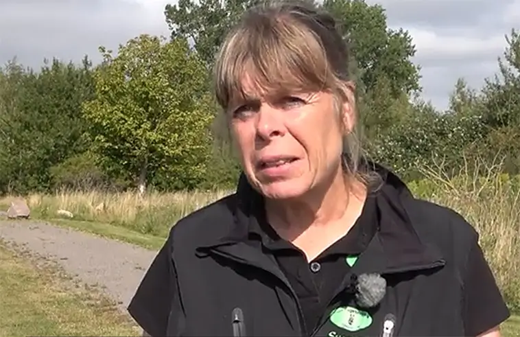 Cocker Spanieln Vilja avslöjar dolda vattenläckor i Sverige
