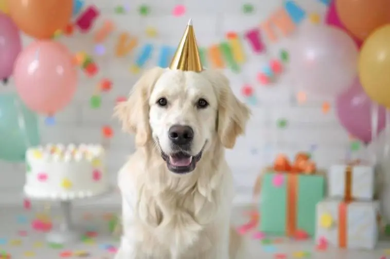 Prime Video inför reklam – betala extra för en annonsfri upplevelse