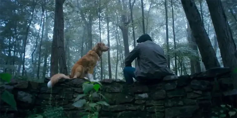 När hunden blir hjälte i en rysare: unika "Good Boy" släpper trailer