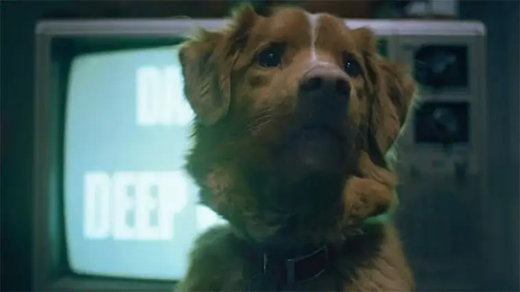 När hunden blir hjälte i en rysare: unika "Good Boy" släpper trailer