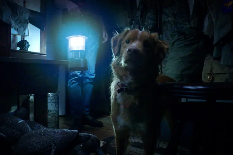 När hunden blir hjälte i en rysare: unika "Good Boy" släpper trailer