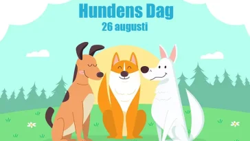 Idag firar vi Hundens dag – en hyllning till våra fyrbenta vänner