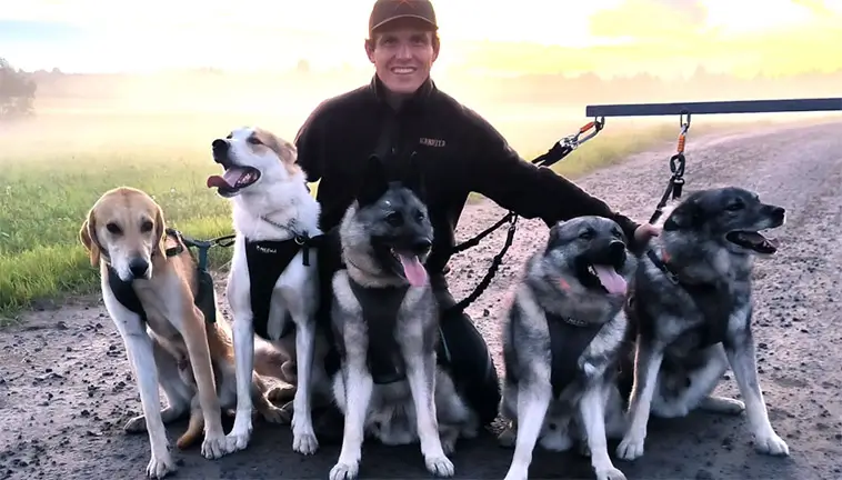 Jakthundsmästaren Mats Helgesson jagar framgång med två olika hundar