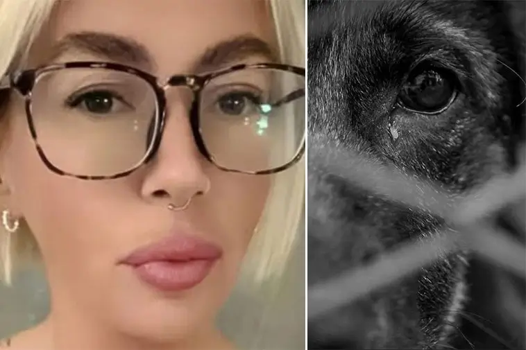 Hemska vanvårdsskandalen: Kvinna fängslad efter att åtta hundar svultit ihjäl i en vanvårdad lägenhet