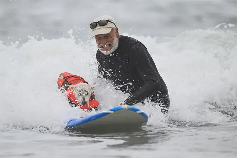 Vågmästare på fyra ben: Hundar från hela världen tävlade i VM i hundsurfning