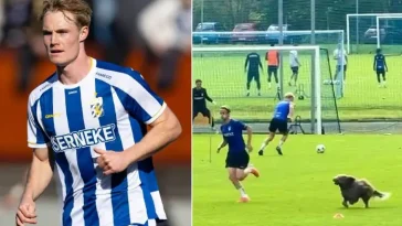 Familjehunden James stal showen under Blåvitt-träningen