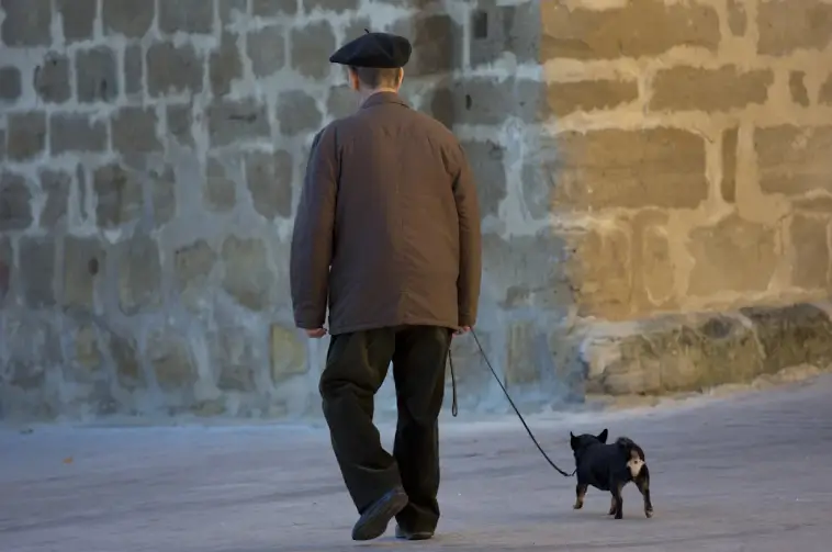 Kulturkrocken i Spanien: "Vi blev utskällda för vår hund"